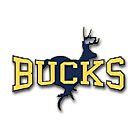Buckhorn High School logo