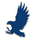 Cold Springs High School logo