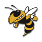 Hinsdale South High School logo