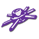 Rochelle High School logo